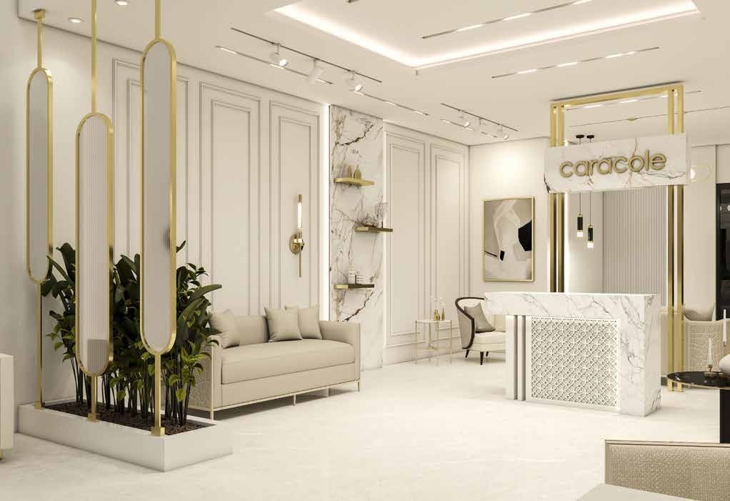 Caracole showroom project preview